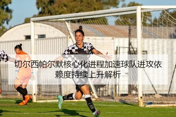 切尔西帕尔默核心化进程加速球队进攻依赖度持续上升解析